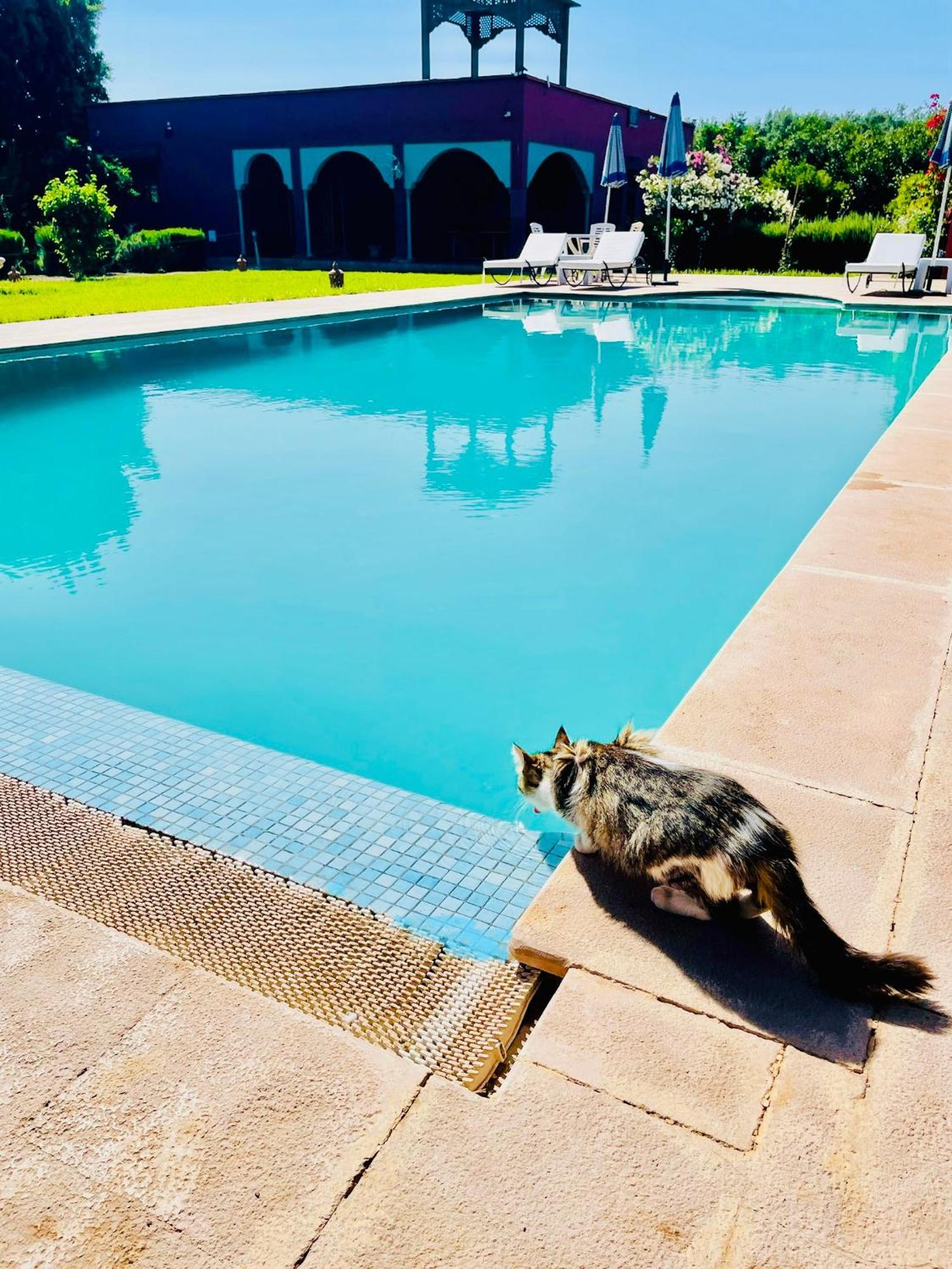 Villa Baddi Marrakech Lagouassem Esterno foto