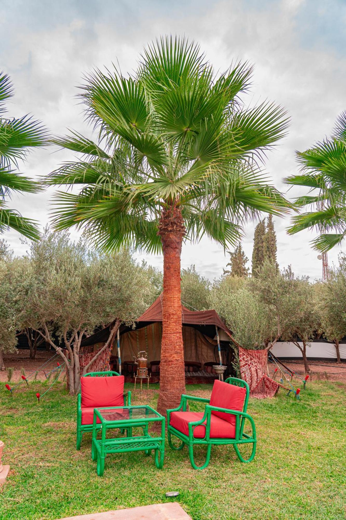 Villa Baddi Marrakech Lagouassem Esterno foto